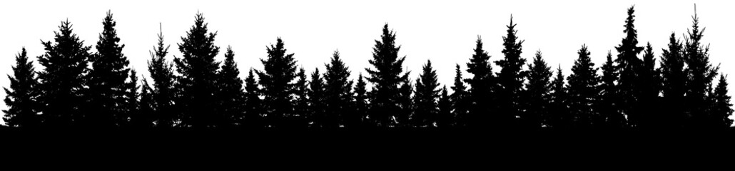 Fototapeta premium Fir trees silhouette. Forest, vector
