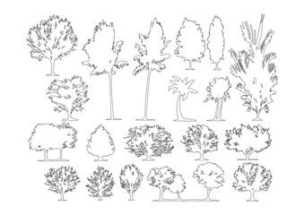 Set of side view graphics trees elements outline symbol for architecture and landscape design drawing. Vector illustration