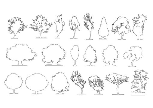 Tree Plan Drawings Images  Browse 45782 Stock Photos Vectors and Video   Adobe Stock