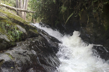 Cascada