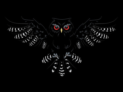 Owl attack from the dark