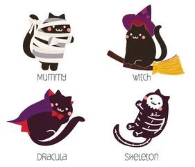 Fotobehang cute black cat in Halloween costume  mummy, witch, dracula, skeleton character design vector © Alisara Zilch