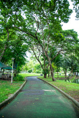 Landscape of Lumpini park in Bangkok Thailand