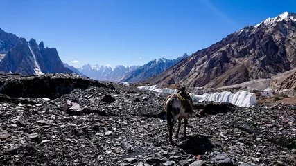 Tableaux ronds sur aluminium brossé K2 K2 and Broad Peak from Concordia in the Karakorum Mountains Pakistan