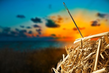 Needle in haystack on background