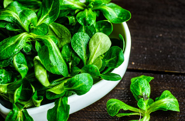 Organic food concept