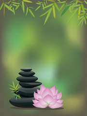 Fototapeta na wymiar Zen stones with lotus