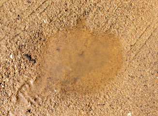 puddle after rain on sand