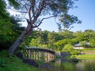 Fototapeta na wymiar 【静岡・伊豆】日本庭園の風景