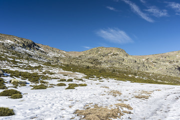 Padded brushwood (Juniperus communis subsp. alpina and Cytisus oromediterraneus) next to de Penalara Lagoon, in Guadarrama Mountains National Park, province of Madrid, Spain