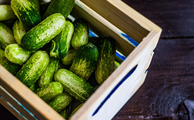 Organic food concept