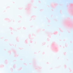 Sakura petals falling down. Romantic pink flowers falling rain. Flying petals on blue sky square bac