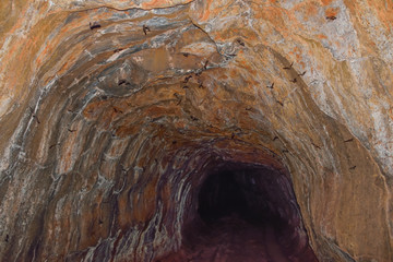 underground lava tube with bent wing bats flying above