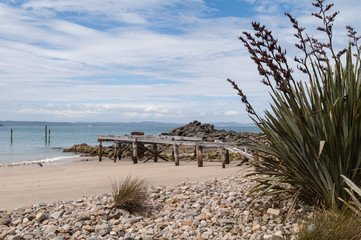 Fototapeta na wymiar Abandoned wharf at a beach on the Waitutu Track on the south coast of New Zealand, with a clump of flax in the foreground.