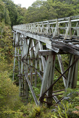 The disused Edwin Burn Viaduct on the Waitutu Track on the south coast of the South island of New Zealand.