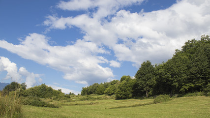 Landscape, beautiful sky with clouds with trees and meadows