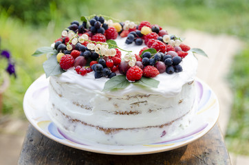 Bisquit cake with berries on top