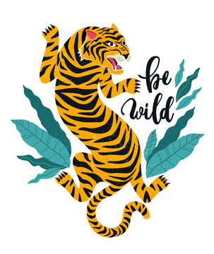 Be wild.Vector illustration of tiger with tropical leaves. Trendy design for card, poster, tshirt and other use.