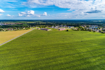 Naklejka premium Green agricultural field. View from a great height