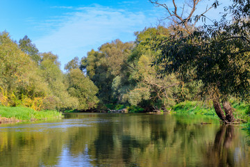 Fototapeta na wymiar View of river surface with green trees on shores on a background of blue sky. River landscape in sunny autumn morning