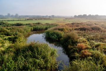 Dolina Górnej Narwi