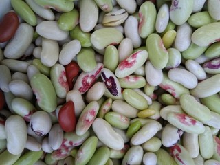 peeled beans close-up. different grades