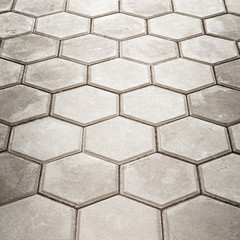 Paving Hexagon brick walkway