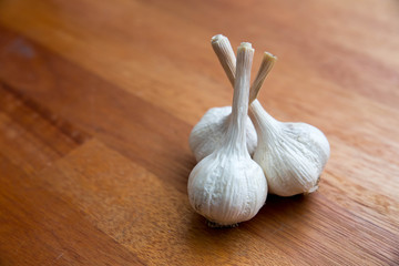 garlic