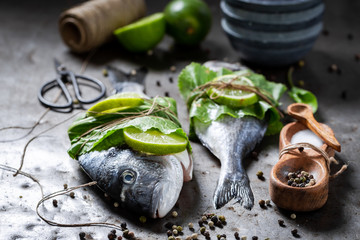 Freshly caught sea bream with lime and horseradish leaves