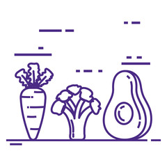 healthy food lifestyle icons