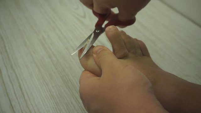 Adult caucasian man cutting long toenails on foot with scissors. Bathroom bath closeup toe nail cut .