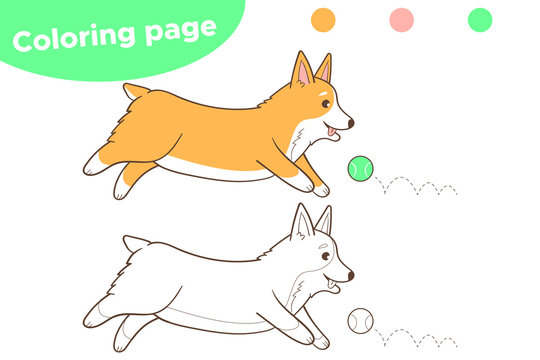 Coloring page for kids. Cartoon Welsh Corgi dog playing with a ball. Vector illustration