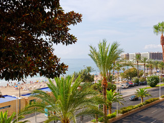 Beautiful palms and beach in Alicante. Spain.