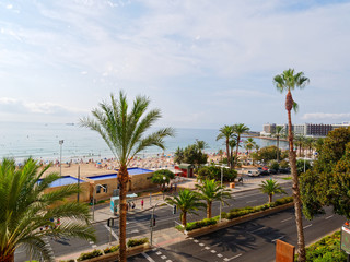 Fototapeta premium Beautiful palms and beach in Alicante. Spain.