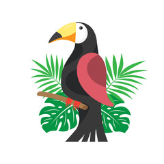 Toucan and palm leaves on the white background