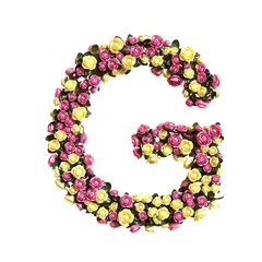Flowered alphabet floral letter collection 3d illustration
