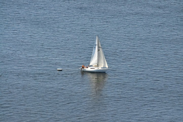 sailing yacht sails on the river