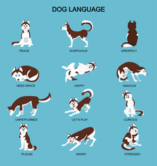 Dog emotions meaning with cute haski dog. Set of dog expressions on blue background. Vector illustration.