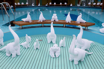 Figures from towels. On Board the ship near the pool Stuarts staged an exhibition of figures out of towels.