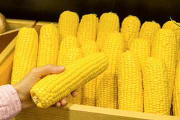 Corn on the counter of the store.