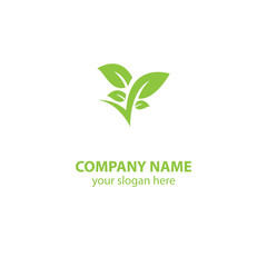 leaf nature logo design element
