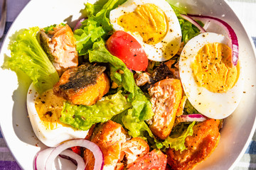Paleo diet salad with salmon, tomatoes, eggs, onions and lettuce, close-up