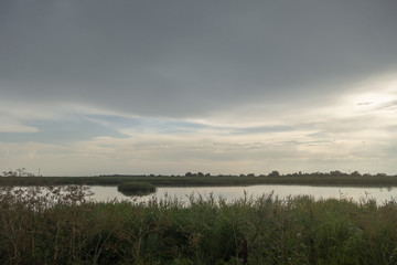 Obraz na płótnie Canvas Landscape in Danube Delta, Romania, in a stormy weather day.