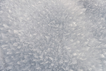 Ice crystals after a snowfall