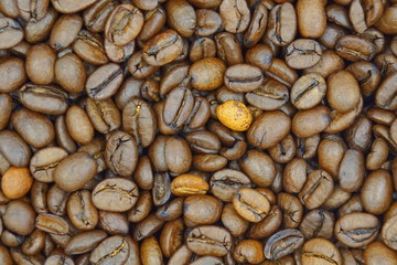 Roasted coffee beans background