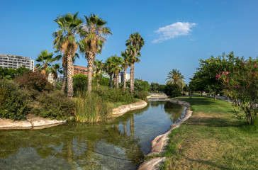 Fototapeta na wymiar Valencia, Spain Gardens in the old dry riverbed of the Turia river, water reflection. Landscape leisure and sport area with trees, grass and water mirror