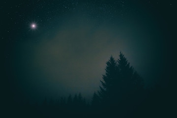 Milky Way stars with clouds and tree silhouettes photographed with wide lens and camera.
