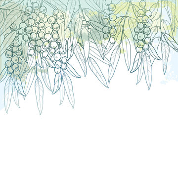 Vector bunch with outline Elaeagnus or silverberry or oleaster tree. Twig with fruit bunch and ornate leaf in pastel silver green on the textured background. Contour Elaeagnus for autumn design.