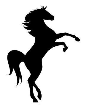 rearing up mustang - standing horse side view black vector silhouette design