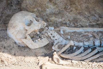 Archaeological site of Nemea in Greece. A skeleton of a woman aged more than 2000 years was found in an excavation in the area 